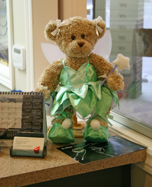 Teddy